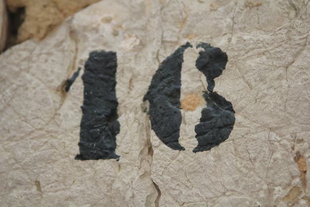 Evoluzione e Rivoluzione: Il Ruolo dei Laterizi nelle Antiche Civiltà