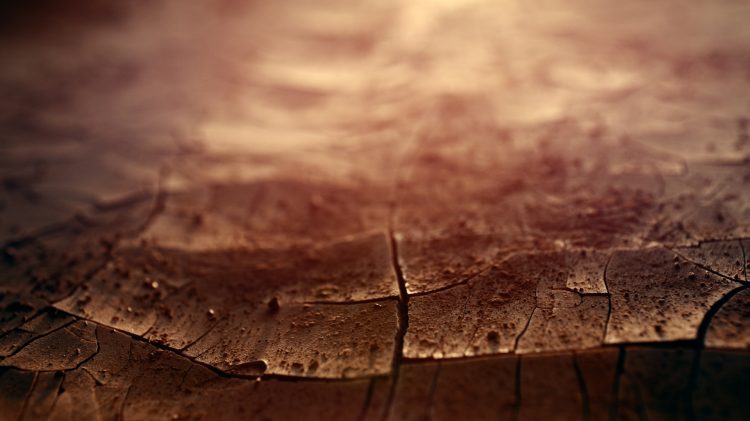 Anteprima-Video-Parete-Respira